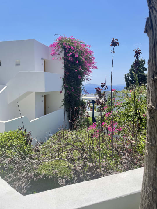 Zimmer ROBINSON DAIDALOS