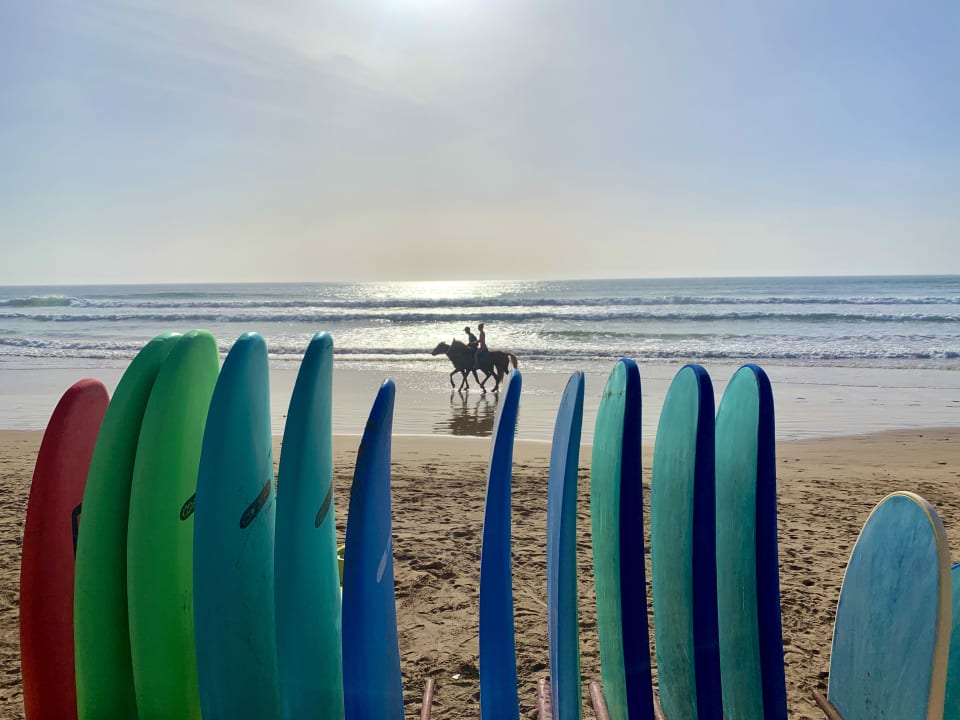 Ausblick Hotel Riu Palace Tikida Taghazout