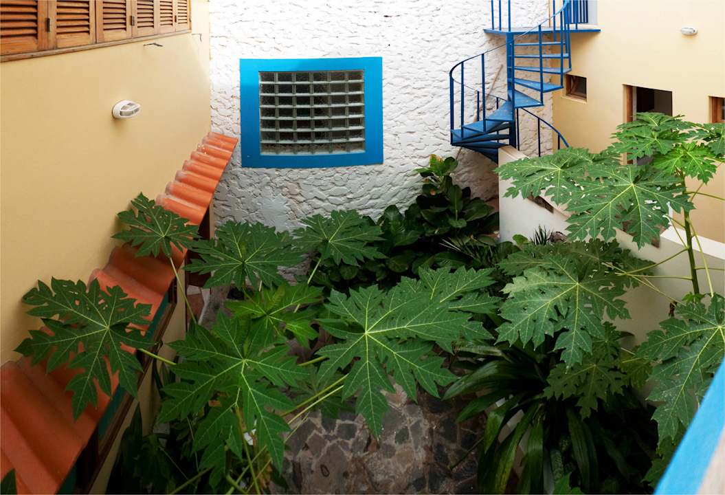 Sincopode junior suite - Backyard Hotel Residencial Solar Windelo