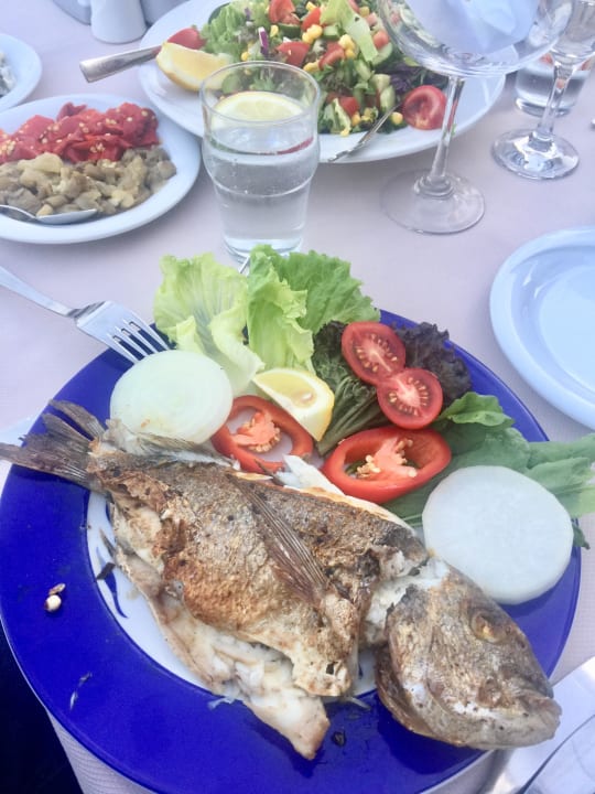 Gastro Xperia Saray Beach Hotel