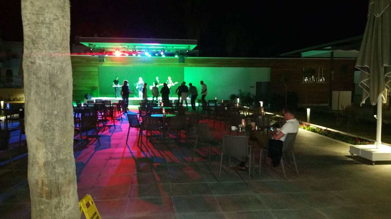 Musik Acanthus Cennet Barut Collection