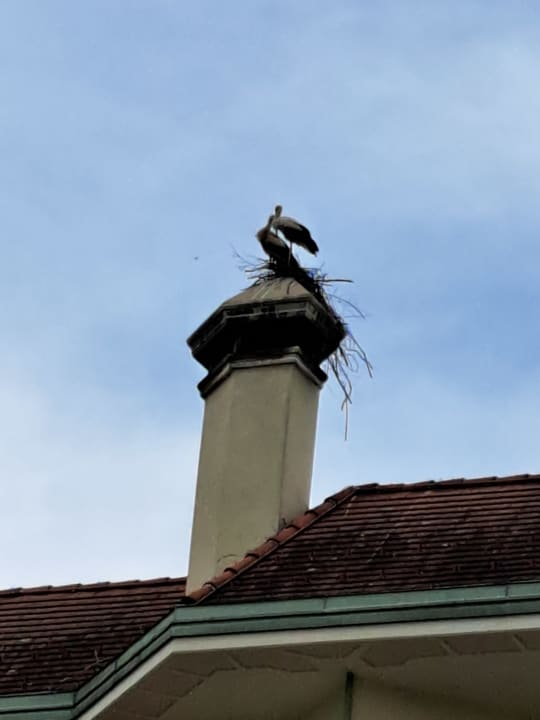 Gartenanlage Reduce Hotel Thermal Bad Tatzmannsdorf