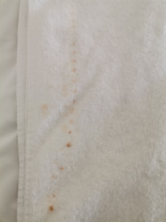 Zimmer Hotel Mariant Park