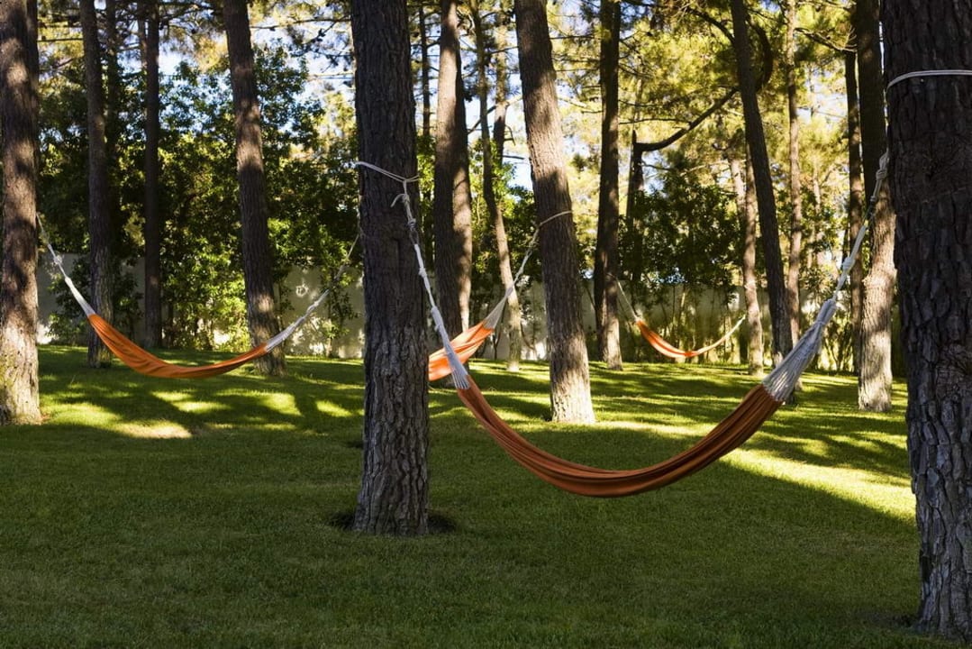 Green area Alcazar Hotel & Spa