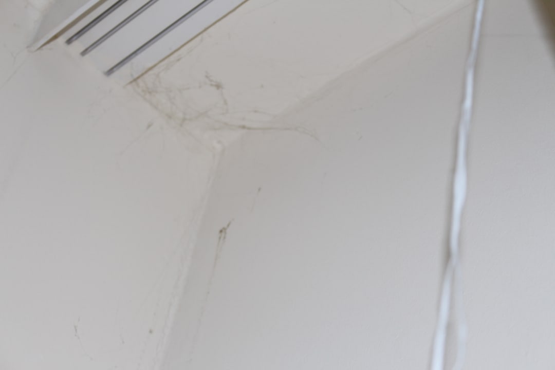 Zimmer Hotel Baltic Stralsund