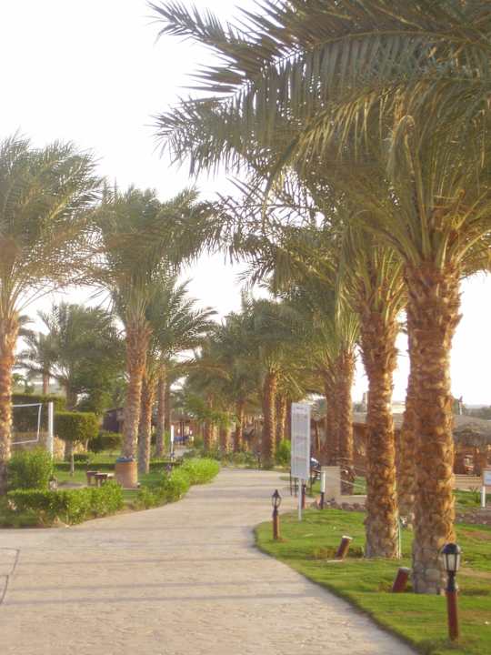 Набережная пляжа Sentido Caribbean World Soma Bay