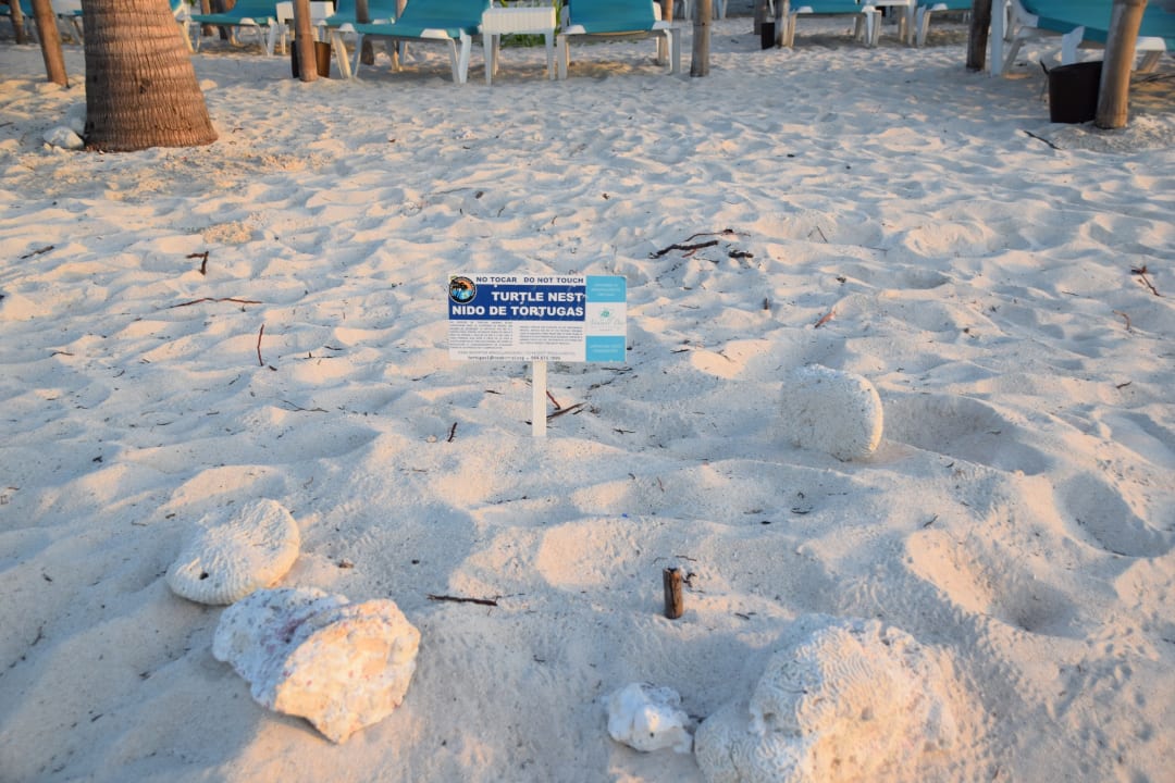 Strand Akumal Bay Beach & Wellness Resort