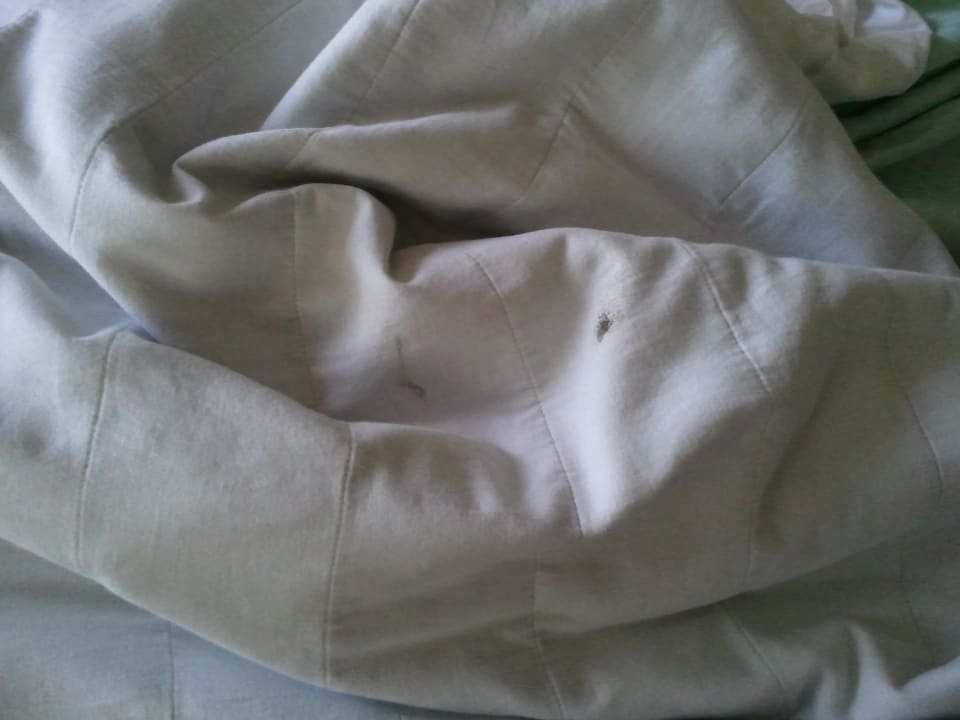 Verfleckte Bettdecke Grand Hotel Bristol