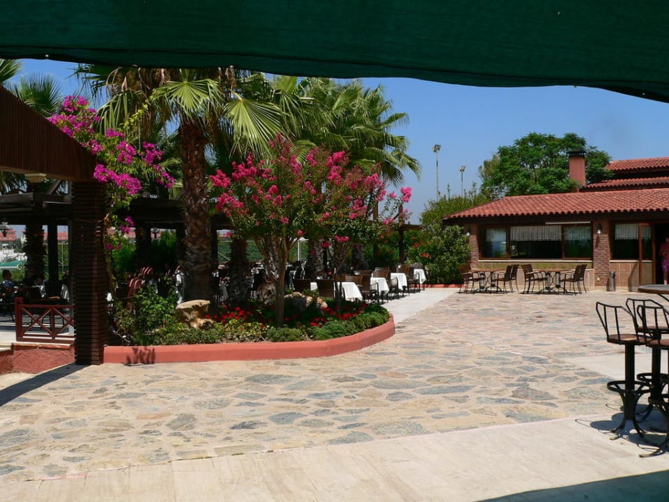 Poolbar Alba Resort Hotel