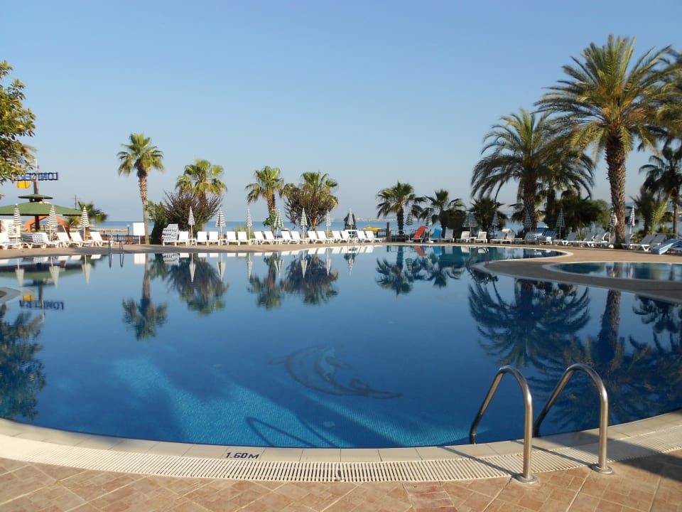 Basen przy budynku D Lonicera Resort & Spa Hotel