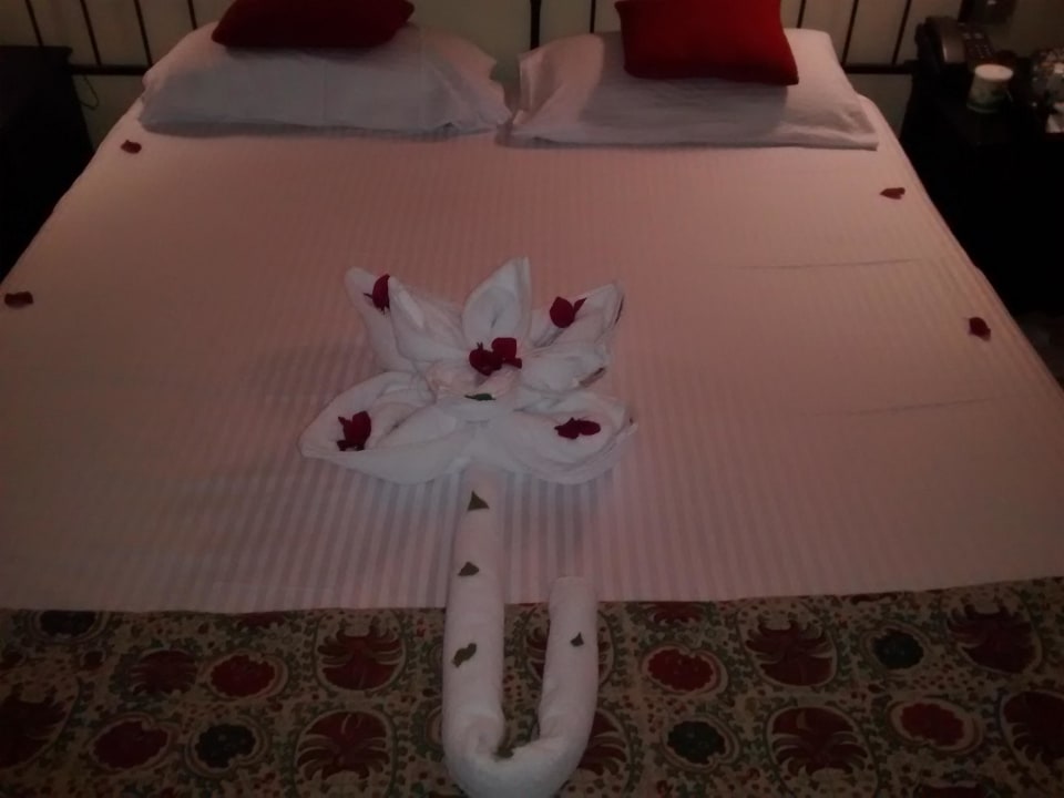 Nette Geste vom Zimmer Service Dawar El Omda - Adults only  (Im Umbau/Renovierung)