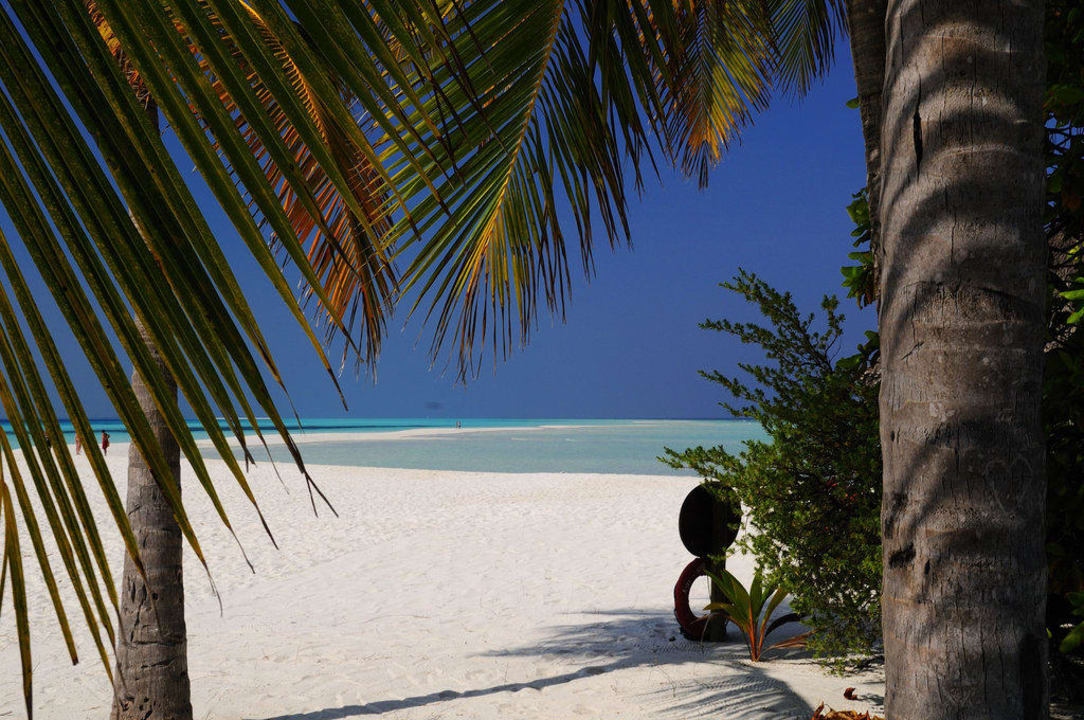 Blick auf Sandbank Kuredu Island Resort & Spa