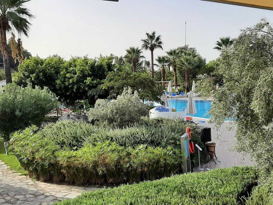 Pool TUI BLUE Sarigerme Park