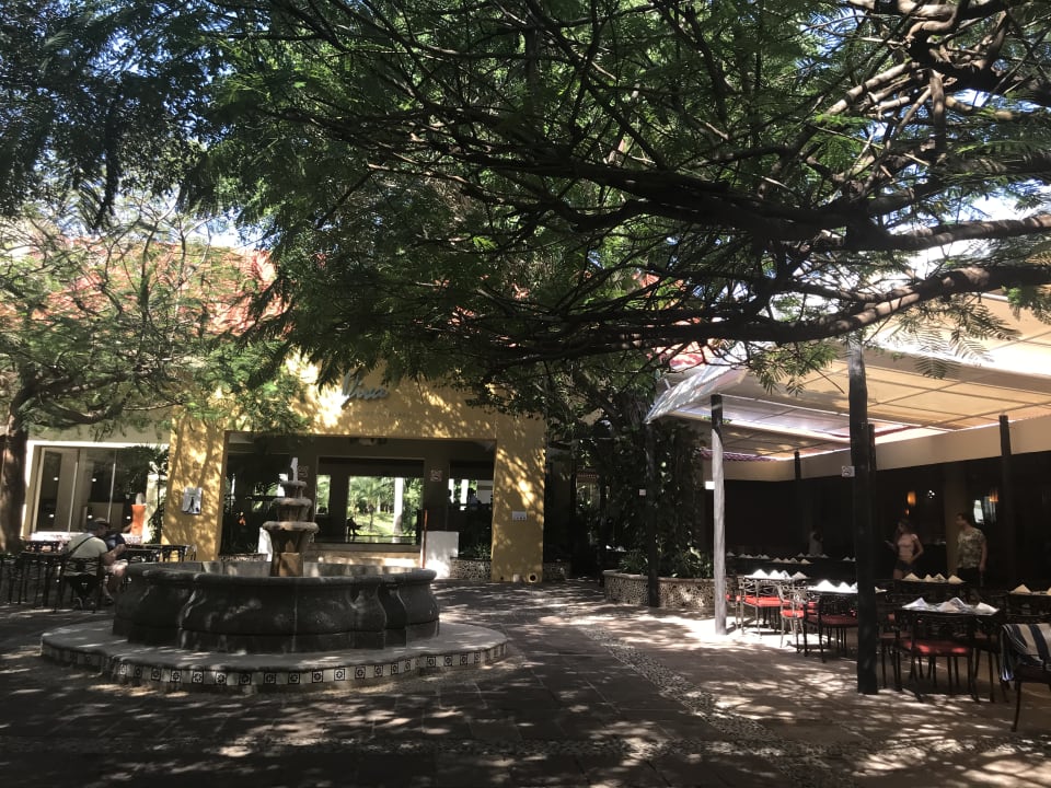 Gastro Viva Azteca by Wyndham - All Inclusive Resort
