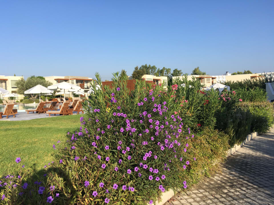 Gartenanlage SENTIDO Port Royal Villas & Spa