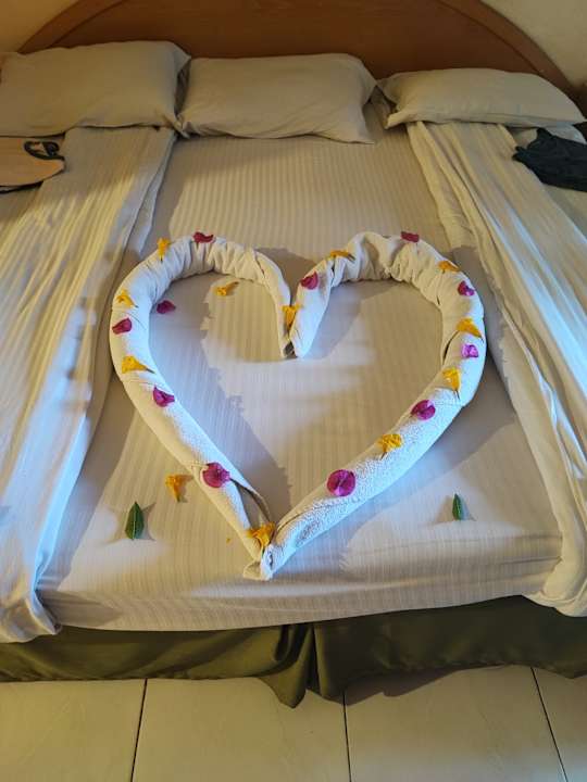 Zimmer Ghazala Gardens