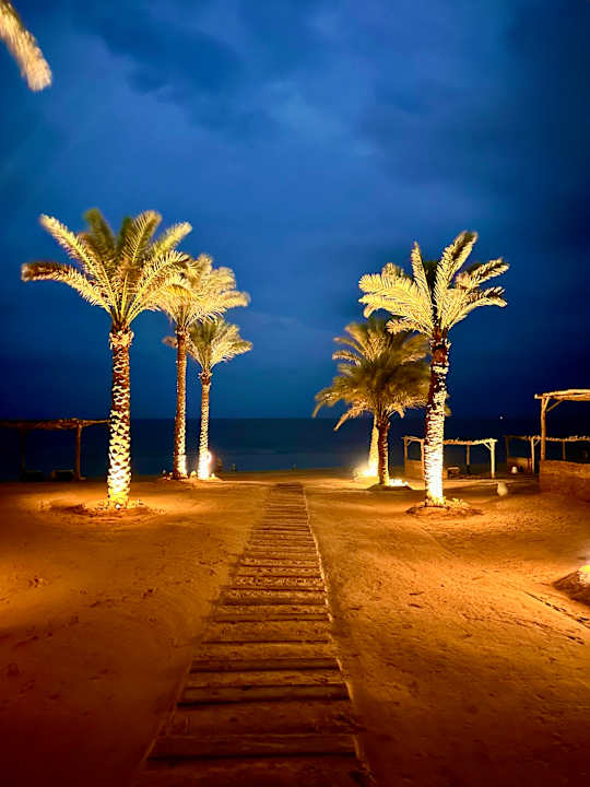 Strand Steigenberger Resort Alaya Marsa Alam - Red Sea - Adults only