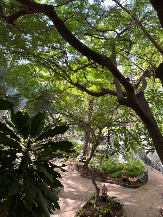Zimmer Hotel Parque Tropical