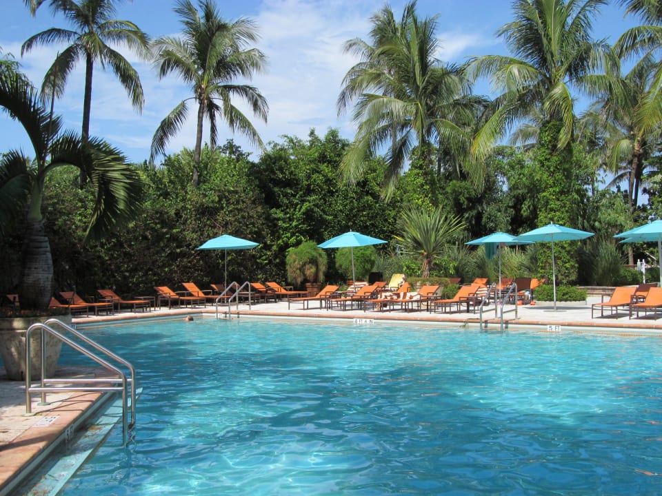 Pool The Palms Hotel & Spa