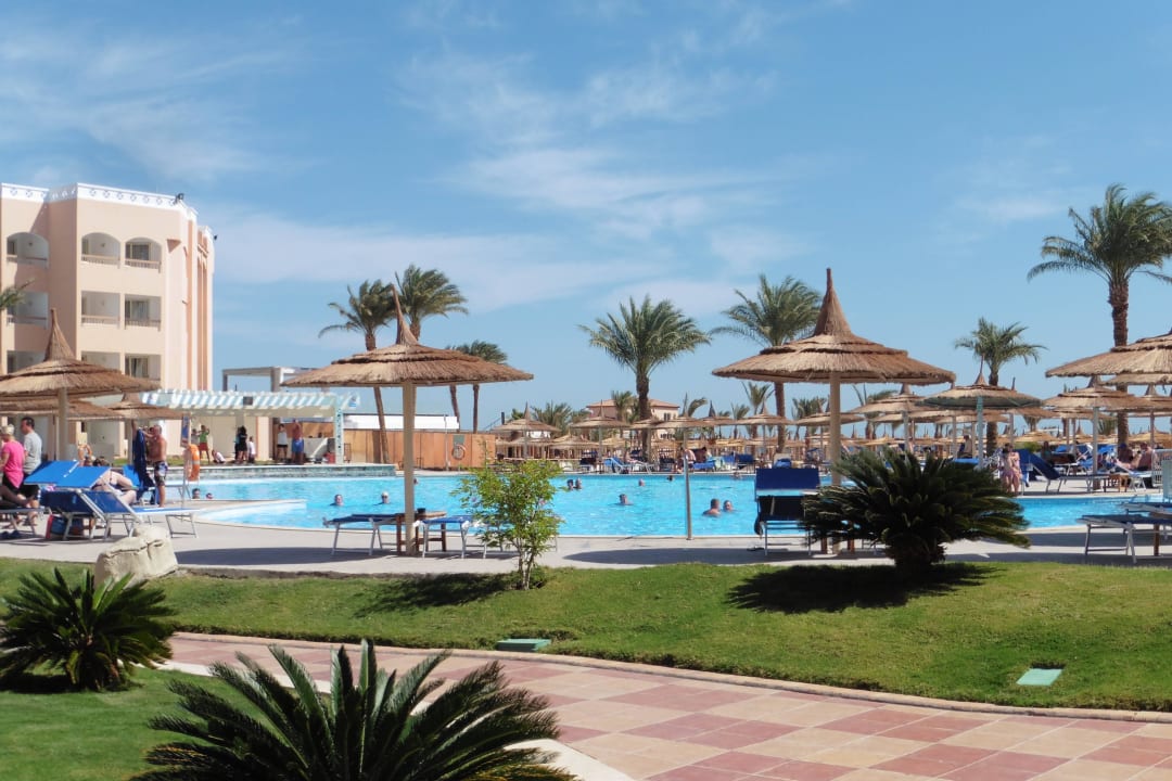 Pool zum Strand Beach Albatros Resort