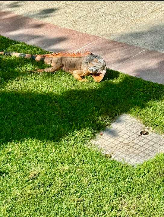 Gartenanlage Belek Beach Resort Hotel