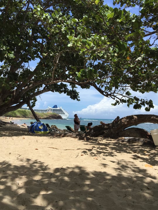 September 2016 Senator Puerto Plata Hotel