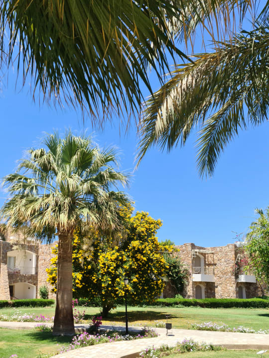 Gartenanlage Brayka Bay Resort