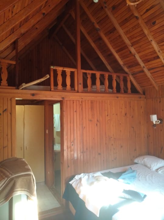 Zimmer Clover Magic Nova Beach