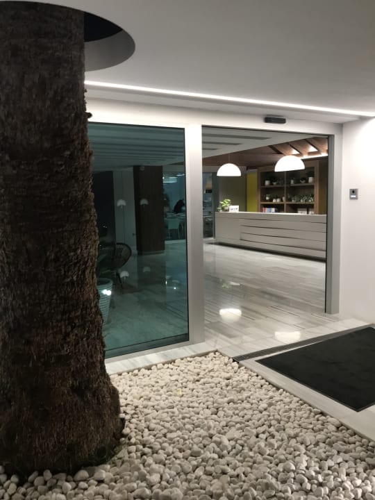 Sonstiges Canary Garden Club