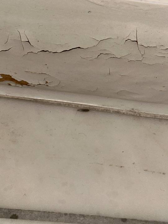 Zimmer Hotel Lippischer Hof