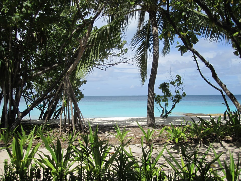 Sicht beim Frühstück / Mittag  NH Collection Maldives Reethi Resort