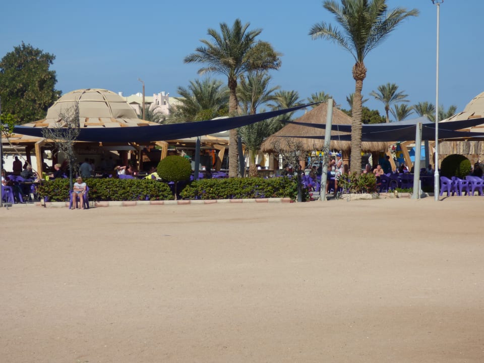 Gastro Seagull Beach Resort