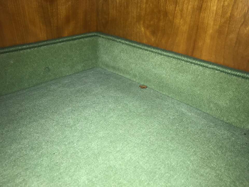 Zimmer Leoso Hotel Leverkusen