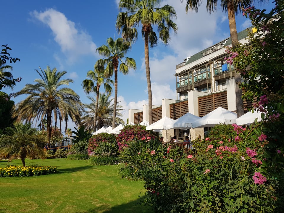 Gartenanlage Hotel Oleander