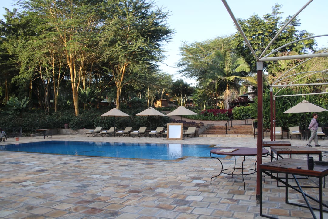 Pool Tloma Mountain Lodge