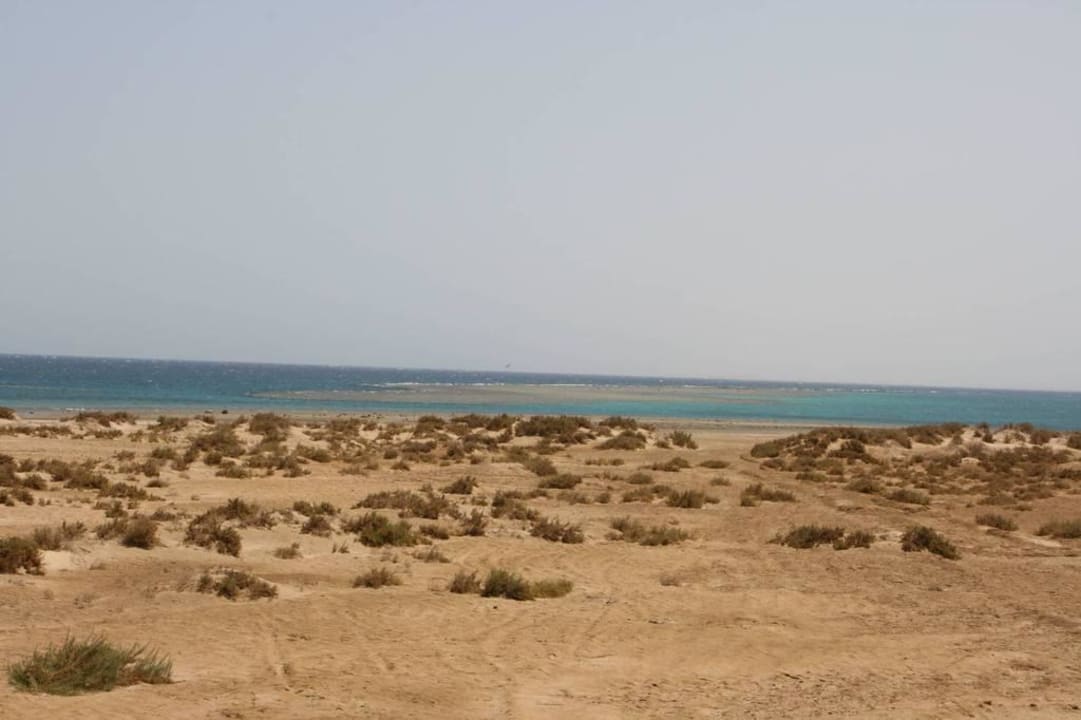 Blick auf das Meer Lahami Bay Beach Resort