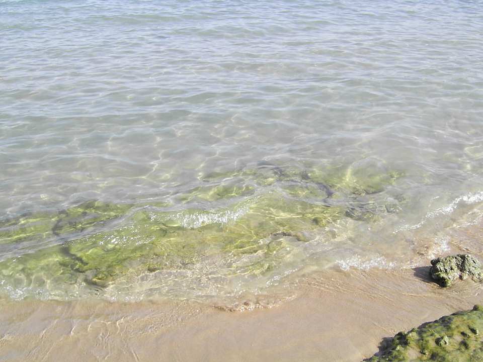 Strand Ghazala Gardens