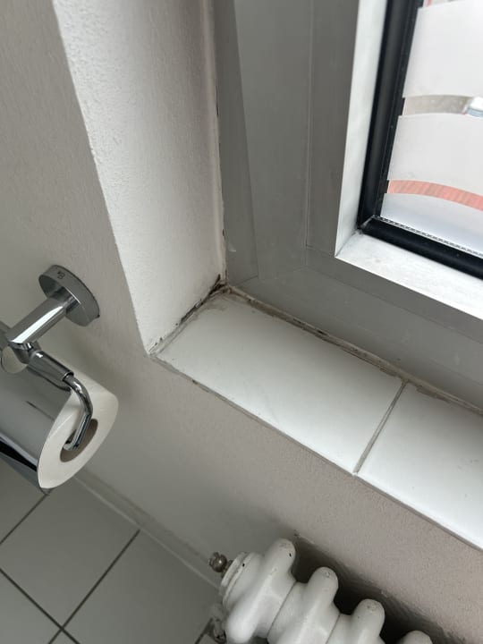 Zimmer ibis Styles Offenburg City