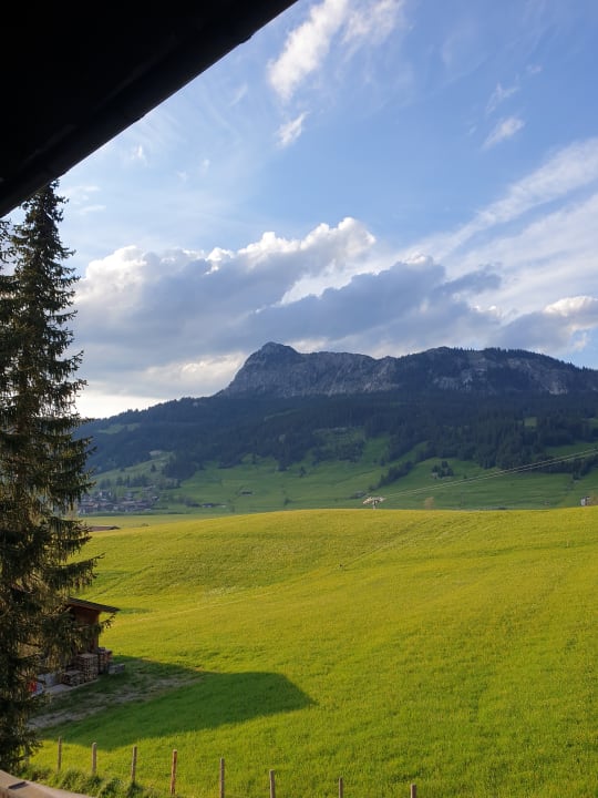 Ausblick Jungbrunn - Der Gutzeitort