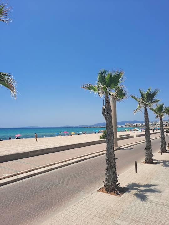 Sonstiges Aparthotel Fontanellas Playa