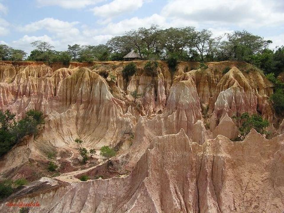 Hell's Kitchen 11 Hotel Traveller's Club