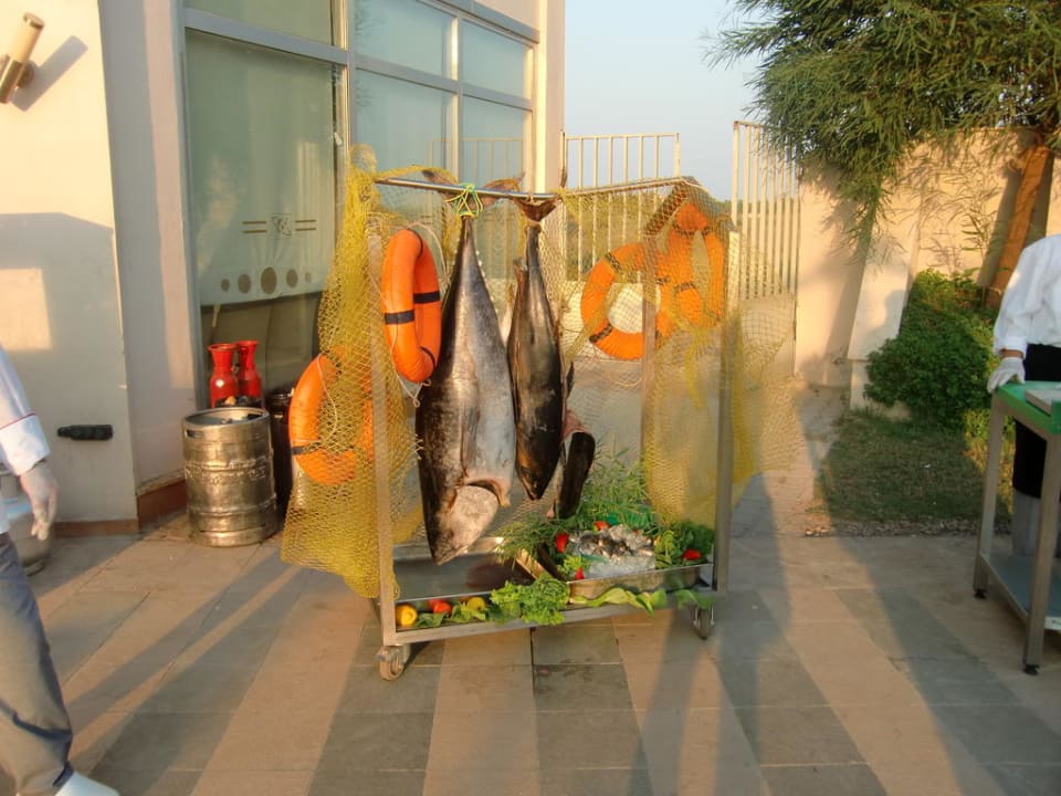 Thunfisch Saturn Palace Resort Hotel