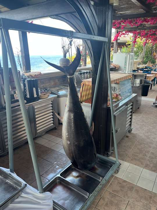 Gastro Hotel Kalithea Horizon Royal