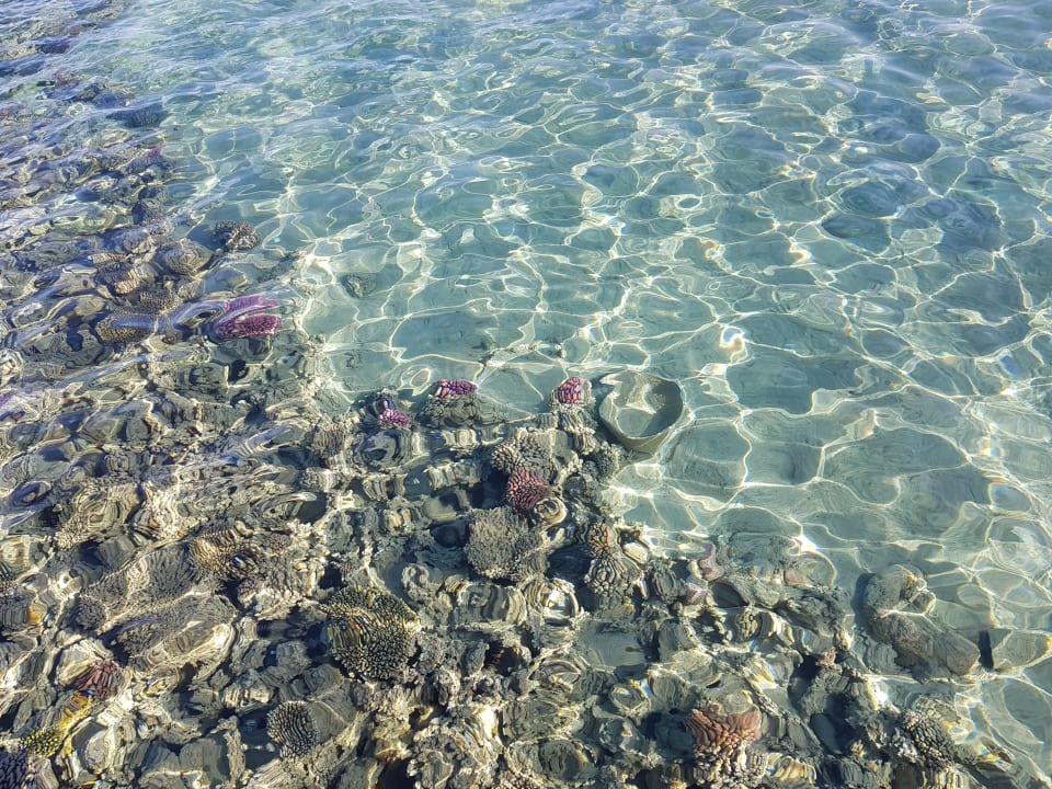 Sport & Freizeit Cleopatra Luxury Resort Makadi Bay