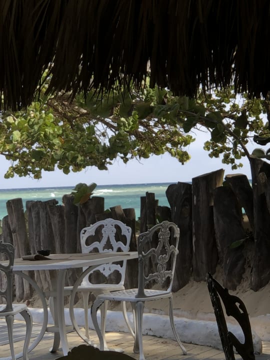 Gastro Sunscape Puerto Plata