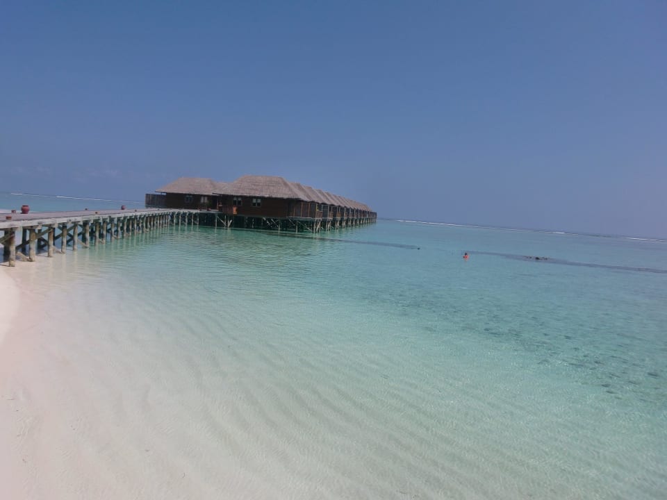 Hotel Meeru Island Resort Meeru Maldives Resort Island