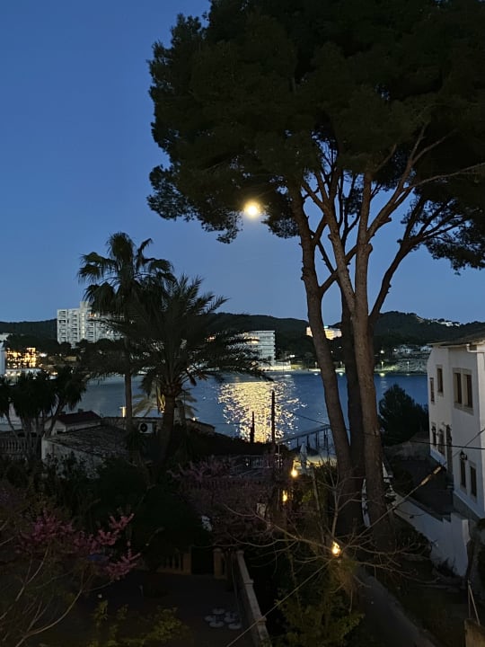 Ausblick FLOR los Almendros Hotel