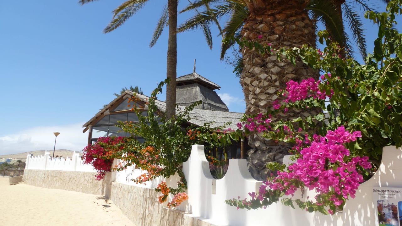 Strandbar SBH Costa Calma Beach Resort