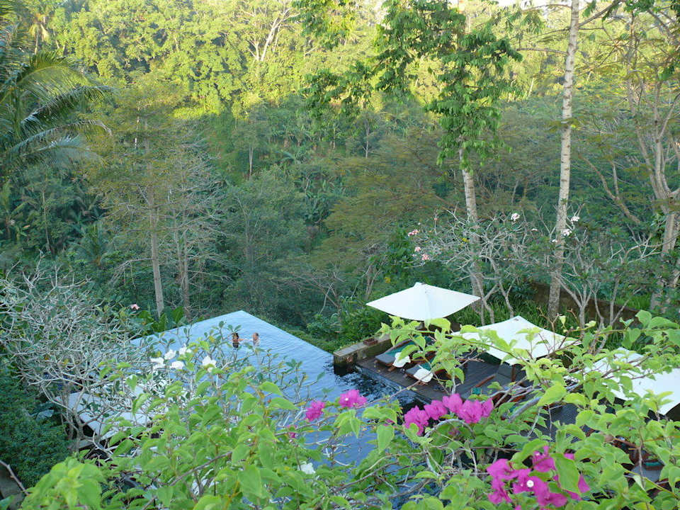 Blick auf den traumhaften Pool Maya Ubud Resort & Spa Bali