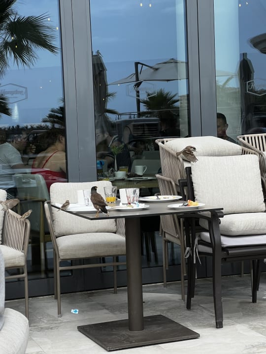 Gastro Hampton by Hilton Marjan Island